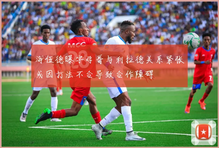 海伍德曝字母哥与利拉德关系紧张或因打法不合导致合作障碍